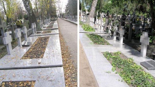 Porządkowali groby żołnierzy. Sprzątnęli też rośliny