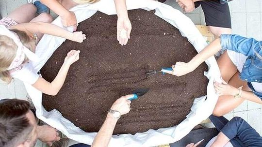 Posadź fasolkę przed CSK