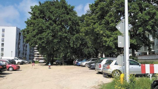 Posadzą drzewa przy nowej ulicy Lublina? Urzędnicy: Ewentualnie