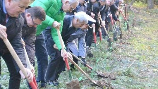 Posadzili Alejkę Przyjaciół Nadleśnictwa Kraśnik. Nasiona poświęcił papież