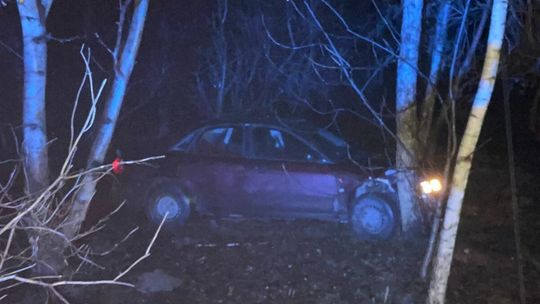 Pościg wieczorową porą zakończył się na drzewie