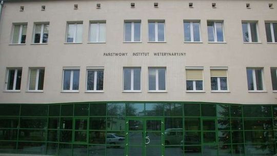 Poseł z Puław chce łączenia instytutów naukowych. Co na to dyrektor PIWet?