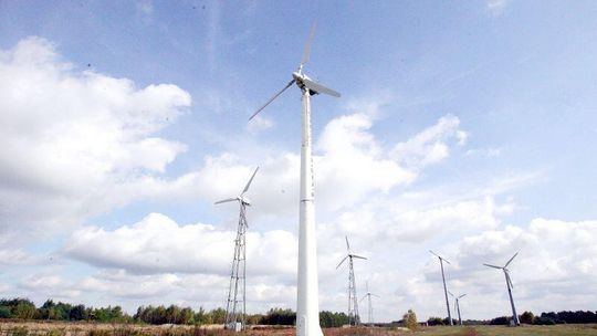 Posłanka Sadurska walczy z wiatrakami 