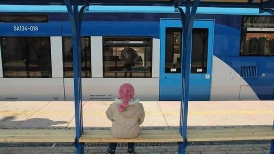 Pospiesznym przez Zadębie do Lubartowa