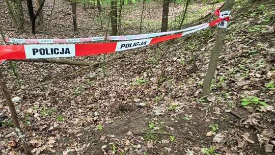 Poszedł na spacer i znalazł granaty. Interweniowali saperzy