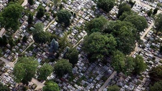 Poszła na cmentarz, wróciła zapłakana. Jest w ciąży, została zgwałcona?