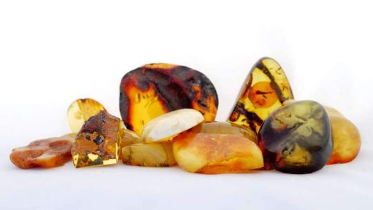 Poszukiwania bursztynu w woj. lubelskim. Nowe miejsca pracy