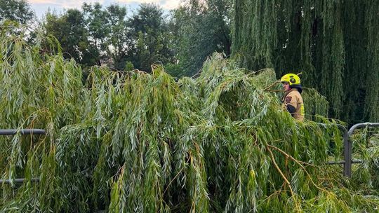 Potężne burze i silny wiatr. Ponad setka interwencji strażaków