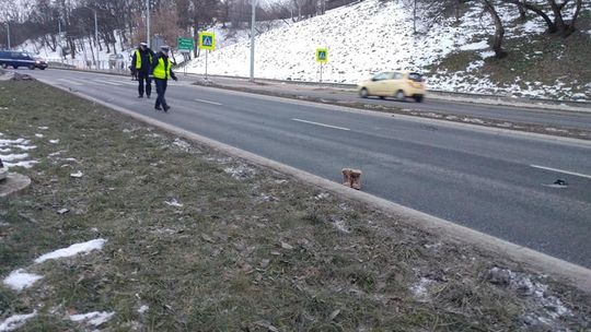 Potrącenie 14-latki na ul. Nadbystrzyckiej. Droga jest zablokowana