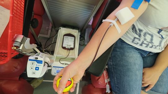 Potrzebna krew - już jutro!