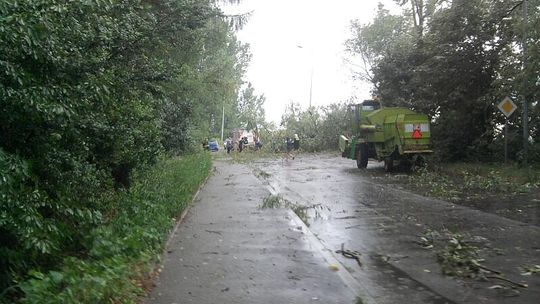 Powalone drzewa po burzy. Możliwe opady gradu