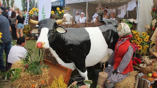 Powiat bialski będzie bawił się na dożynkach w Janowie Podlaskim. Zagra Don Vasyl