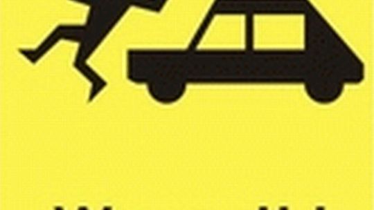 Powiat hrubieszowski: Wypadki z udziałem pieszych