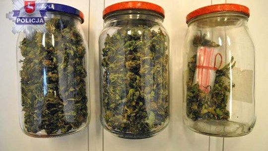 Powiedział policjantom, że ma marihuanę. Wydał także syna