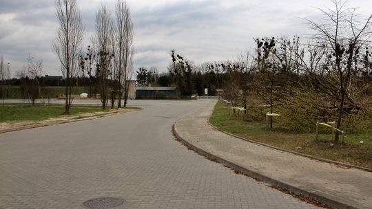 Powiększą i zadaszą targ w Puławach. 123 dodatkowe stanowiska