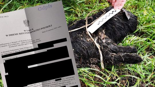 Powiesił własnego psa. Znęcał się też nad synem