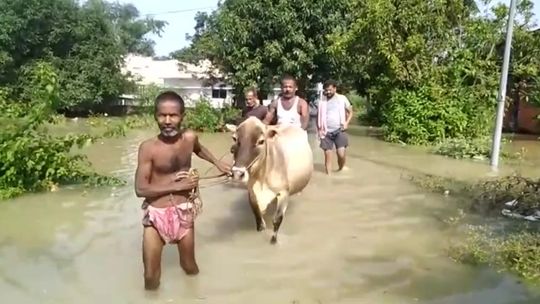 Powódź w północno-wschodnich Indiach. Zginęło co najmniej 18 osób