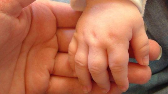 Powstanie regionalna karta dużej rodziny?