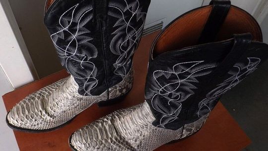 Pożałuje butów z pytona