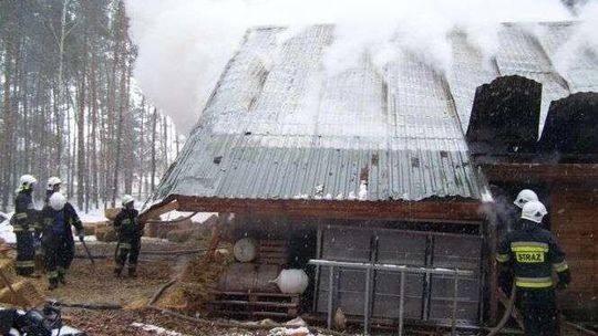 Pożar budynku gospodarczego. Padło 200 kur i 30 królików