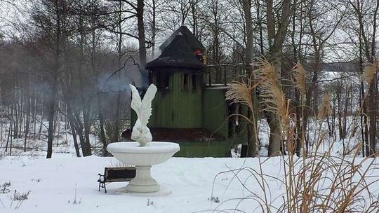 Pożar "domu na drzewie" w Majdanie Skrzynieckim (zdjęcia)