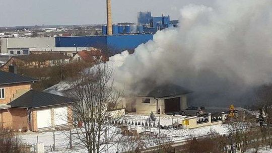 Pożar domu w Rykach. Strażacy uratowali psa