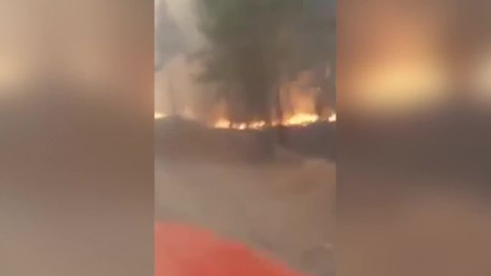 Pożar lasów w Czarnobylu. Ogień zbliża się do najbardziej skażonej strefy