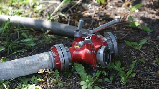 Pożar lasu w powiecie puławskim. Trwa akcja gaśnicza