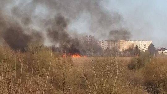 Pożar na górkach czechowskich. Ogień zbliżył się do zabudowań (wideo)