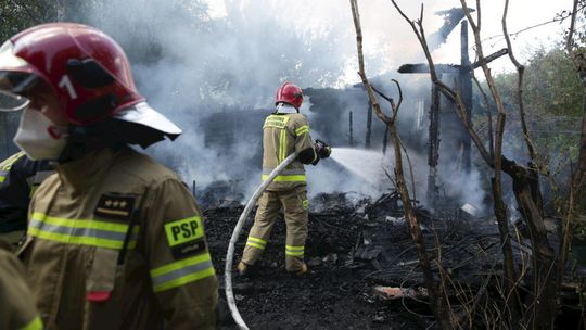 Pożar na terenie ogródków działkowych w Lublinie [zdjęcia]