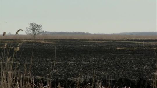 Pożar nad Biebrzą to ostrzeżenie. Patrole przeciwpożarowe w Poleskim Parku Narodowym