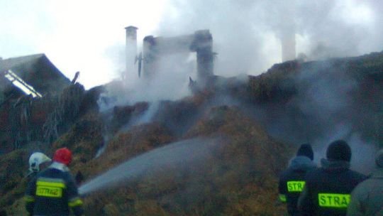 Pożar obory w Borzechowie