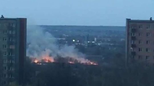 Pożar pól na ul. Daszyńskiego w Lublinie i w okolicach Turki [wideo]