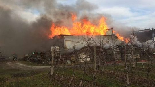 Pożar przechowalni owoców w Kolonii Dobryń. Akcja gaśnicza [zdjęcia]