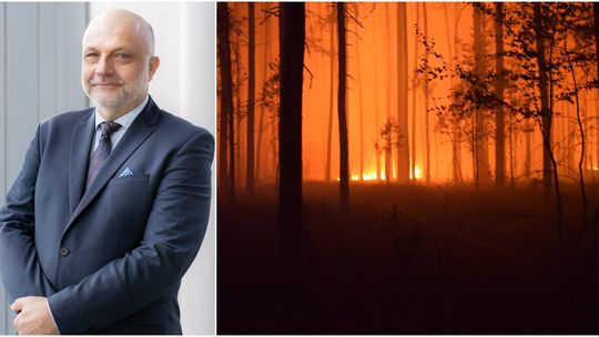 Pożar strawił setki hektarów. Przyroda się odbuduje, ale straty są realne
