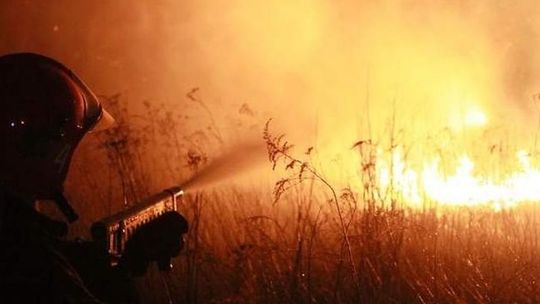 Pożar traw na górkach czechowskich (zdjęcia)