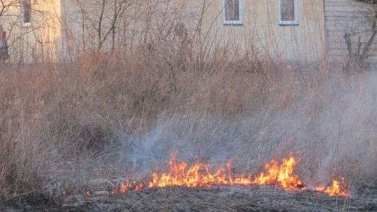 Pożar traw przy Janowskiej. Ogień blisko budynków (zdjęcia, wideo)