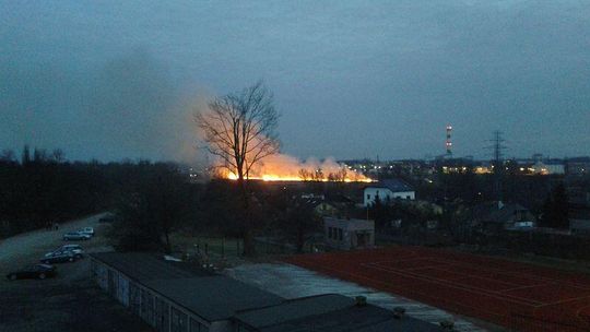 Pożar traw w Lublinie (zdjęcia, wideo od Czytelników)