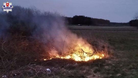 Pożar traw w powiecie ryckim. Winny mężczyzna, który rozpalił ognisko na swojej działce