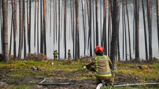 Pożar w Puszczy Solskiej. Sytuacja trudna, możliwa ewakuacja mieszkańców