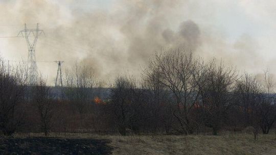 Pożary trawy: Tej wiosny już ponad 800 interwencji strażaków