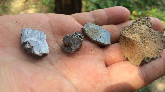 Pozbierają kości ofiar obozu zagłady w Sobiborze. Potem je pochowają