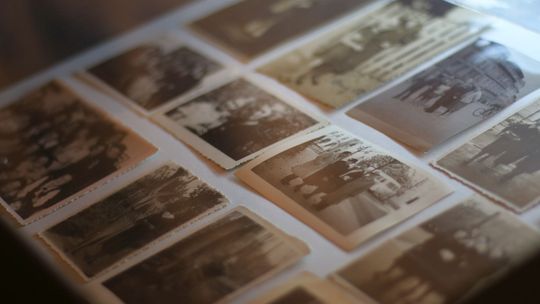 Pożegnalny spacer z poetką. Finisaż wystawy i przechadzka po Lublinie