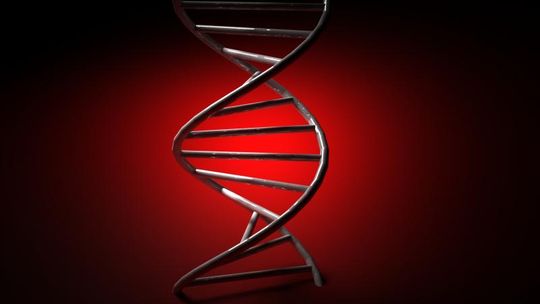 Poznaj DNA od środka, naciesz się urodą pleśni