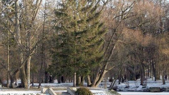 Poznaj historię swojego regionu. Co kryją parkowe alejki Nałęczowa