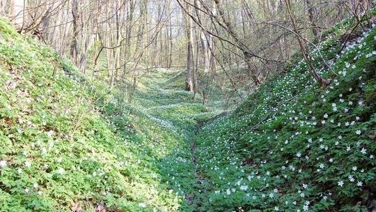 Poznaj historię swojego regionu. Nasz papież w Nałęczowie