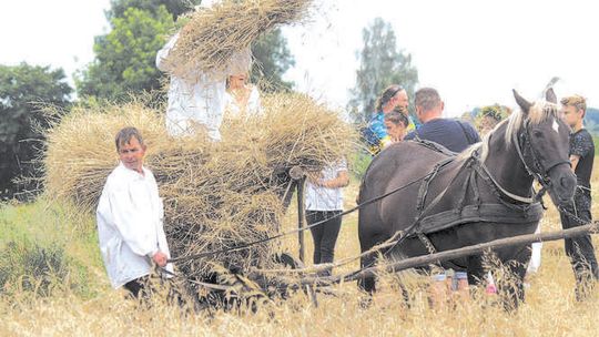 Poznaj historię swojego regionu. Pamiętają o dożynkowej tradycji