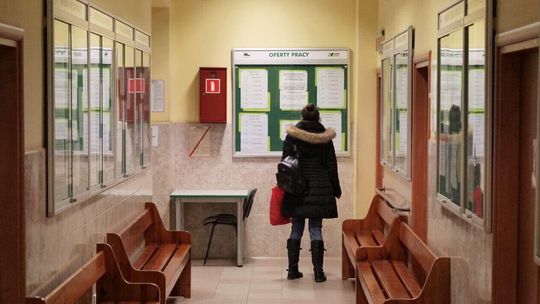 Praca na wyciagnięcie ręki i duże zarobki. Pensja nawet powyżej 10 tys. zł