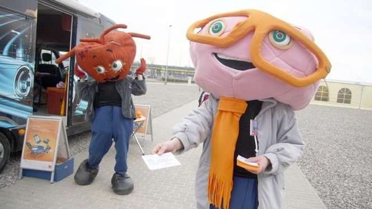 Praca sezonowa w Lublinie: Ofert dużo, chętnych mniej. Ile można zarobić?