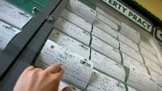 Praca w Lublinie i lubelskim. Zobacz najnowsze oferty